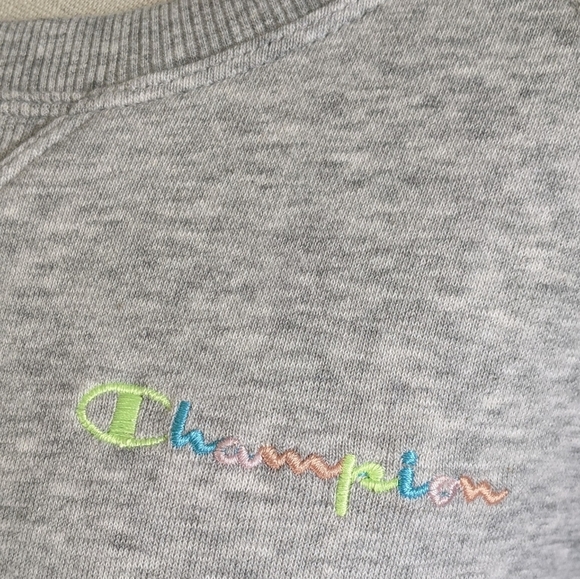 Champion Sweatshirt Rainbow Logo French Terry Crew Raglan Sleeves Grey L NWT - Picture 4 of 15